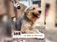 Liebevoller und aktiver LORD