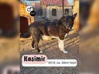 Zurückhaltender KASIMIR