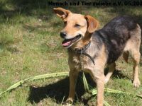 Flora, braucht Sicherheit und Liebe