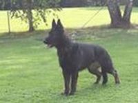 von der Eichberg-Ranch