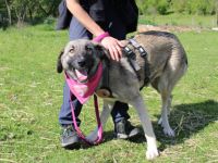 Amazones Vergangenheit war dunkel, kannst du ihr Licht sein?