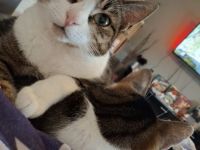 Geschwisterduo sucht ein neuen Dosenöffner