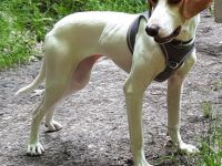 Wundervolles Wesen und ellenlange Beine = Karla