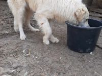 Marco sucht seine Menschen!