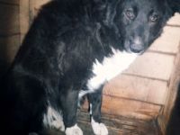 Marlen sucht ihren Herzensmenschen!