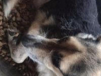 Ein Herz sucht ein Zuhause – Melcom wartet auf dich!