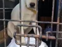 Wer sieht die schöne Monja?