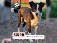 KASPER wünscht sich eine schöne Zukunft