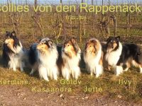 von den Rappenäckern