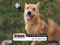 Kleiner SIMON mir großem Herz