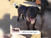 Schüchterner THEO - alleine zurück geblieben