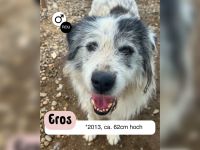 Senior EROS