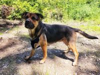 Emmy sucht eine liebe Familie