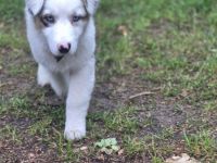 Schweren Herzens suchen wir ein neues Zuhause