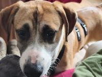 Benjamin Blümchen sucht dich