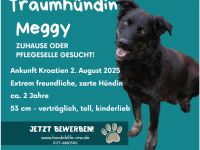 MEGGY – Wer ihr Herz gewinnt, hat eine Freundin fürs Leben!