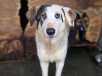 Trudi braucht deine Hilfe!