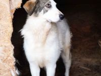 Trudi braucht deine Hilfe!