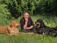 Hovawarte vom Caputher See