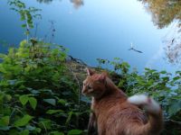 Leo, oh Dear Leo ...