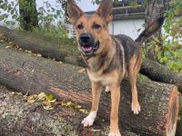 Lass dich von Maverick verzaubern!