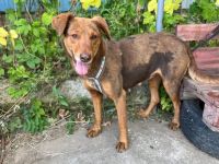 Tolle Begleiterin Pearly