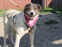 Zeynep kann tatsächlich lächeln!