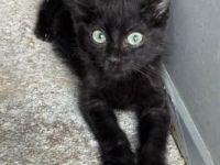 Relampago und Lluvia