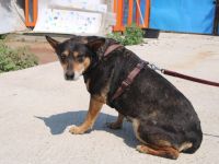 Wella sucht ihren sicheren Hafen