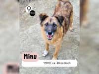 MINU sucht ihre Familie