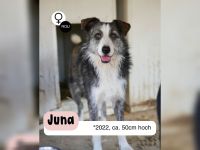 Fröhliche JUNA sucht Dich
