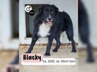 BLACKY möchte das Leben kennenlernen