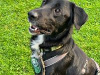 Jasko möchte mit Dir die Welt entdecken.