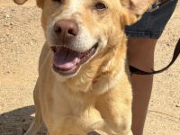 Mati sucht eine Familie!