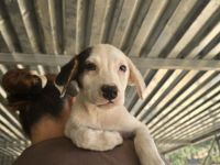 Miranda und Beverly wollen noch viel erleben