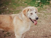 Saiwa sucht liebevolle Menschen