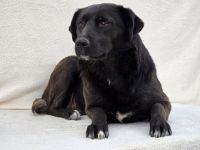 Naomi – Eine sanfte Seele mit mutigem Herzen