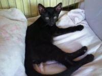 Luigi und Chuck   7+ 9 Jahre jung