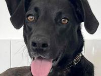 Sportliche Mai, möchte Deine Gefährtin werden