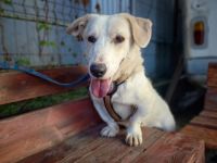 Tuuri sucht sein Glück