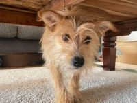 Celina sucht eine aktive Familie