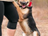 Loya: eine sanfte Seele sucht ein Zuhause