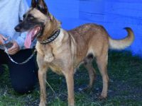 Sportliche Sky sucht ihre zweite Chance