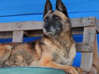 Sportliche Sky sucht ihre zweite Chance
