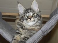 Traumschloss gesucht .....