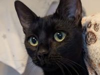 2 EHK SCHNELLST MÖGLICH ABZUGEBEN