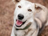 Freya wünscht sich eine Familie