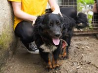 Toller Kerl Jamie möchte bei dir einziehen