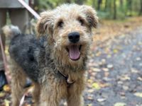 Silas wartet auf seine Chance