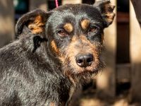 Franky, hat die Hoffnung noch nicht aufgegeben